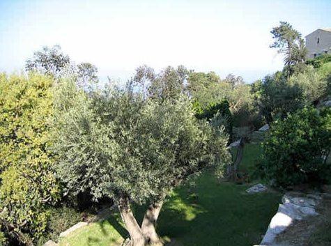 Villa Alamp#Supercannes #Golfejuan #Cannes #Mediterraneanpanoramicview #Piscine #Rooftop # Verymodern #Openliving #Closebeach #Closecapantibes Vallauris Bagian luar foto